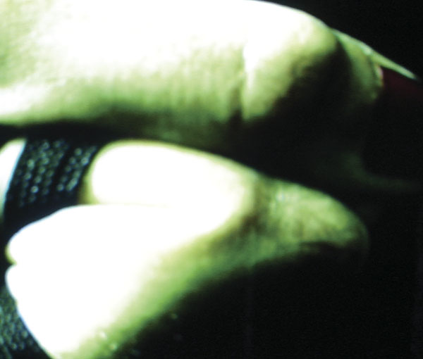 Ulricke Lourens Artwork