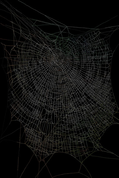 Nellien Brewer Artwork