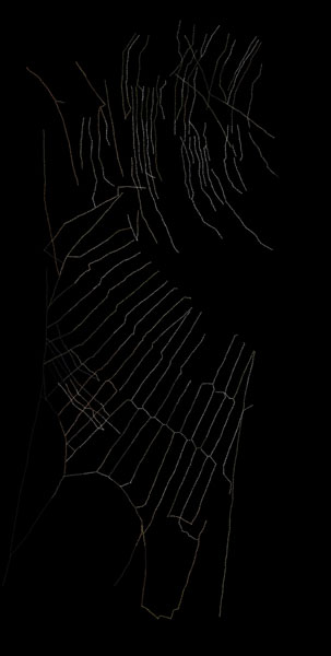 Nellien Brewer Artwork