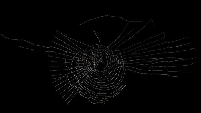 Nellien Brewer Artwork