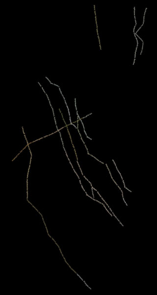 Nellien Brewer Artwork