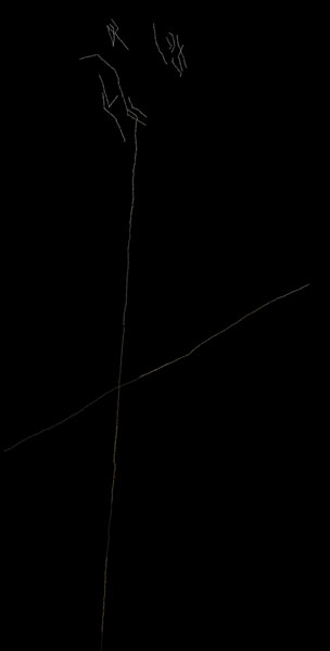 Nellien Brewer Artwork