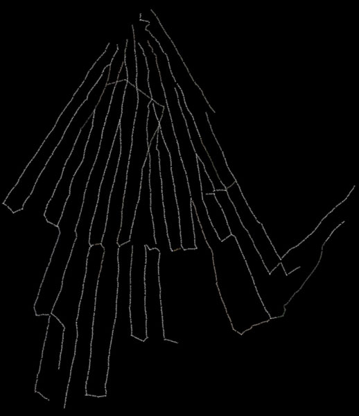 Nellien Brewer Artwork