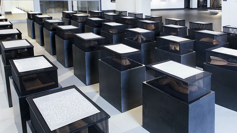 Call For Entries: MTN & UJ Emerging Artists Development Programme
 Article Image