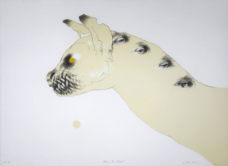 Living lines and impressions: A glimpse of Judith Mason's editions and drawings Article Image