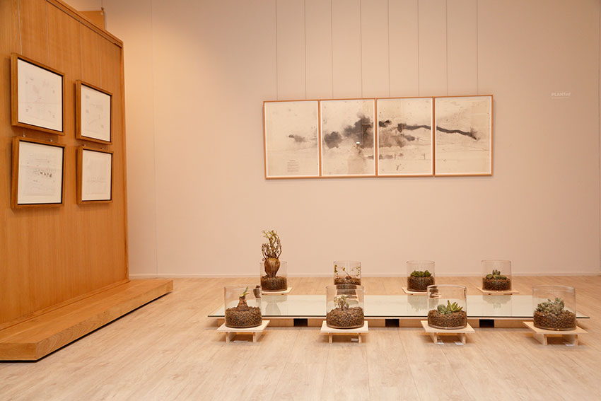 Awarded Social Impact Arts Prize 2020 projects demonstrate creative ways to address social challenges  Article Image