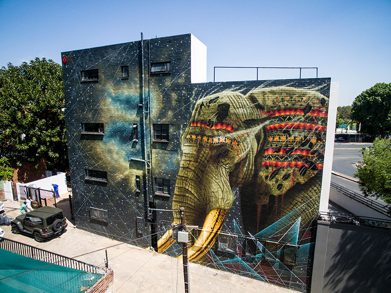 South African Artist Makes Global Impact on Conservation Article Image