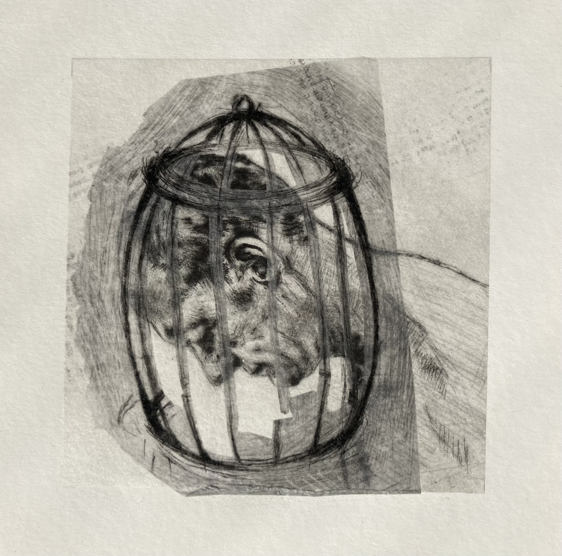 Nicky Liebenberg Artwork